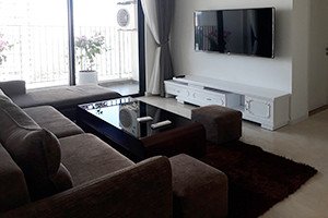 Vinhomes D’.Capitale / Vinhomes Dcapitale