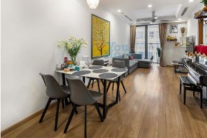 Times City - Park Hill