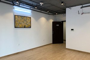 Vinhomes D’.Capitale / Vinhomes Dcapitale