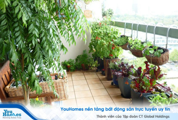 Biến ban công nhỏ thành khu vườn xanh mát