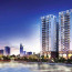 Q7 Boulevard