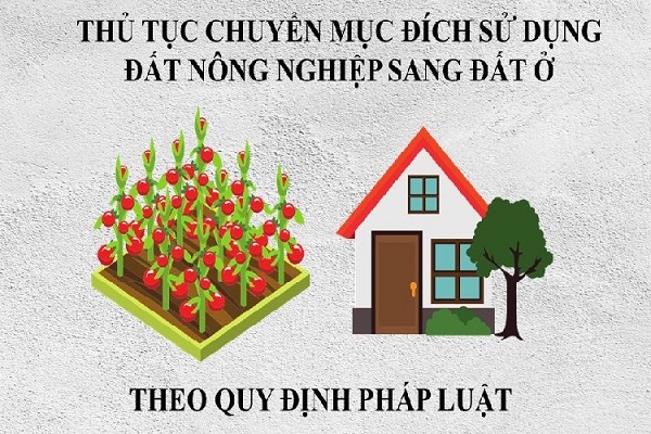 Thủ tục chuyển đổi mục đích sử dụng đất