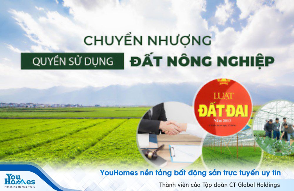 Mẫu giấy chuyển nhượng đất nông nghiệp viết tay đúng quy định pháp luật