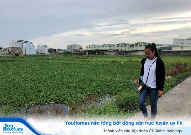 Vạch mặt nhiều công ty bán dự án ma như Alibaba - Ảnh 1.