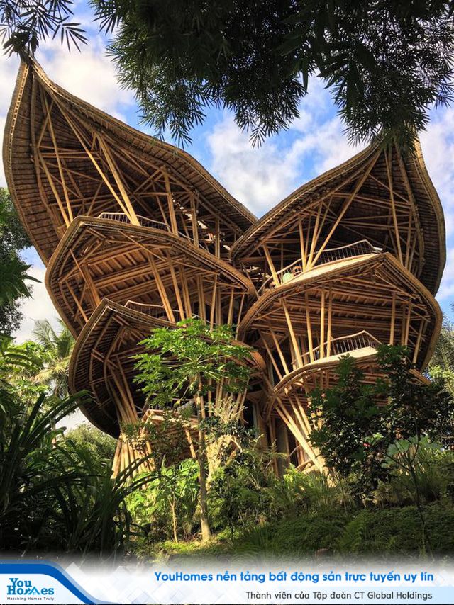 Ngỡ ngàng biệt thự tre 6 tầng tuyệt đẹp giữa rừng - Ảnh 1. Ngỡ ngàng biệt thự tre 6 tầng tuyệt đẹp giữa rừng - Ảnh 1.