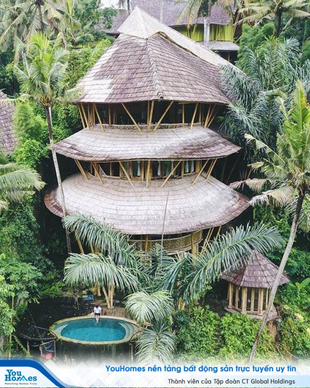 Ngỡ ngàng biệt thự tre 6 tầng tuyệt đẹp giữa rừng - Ảnh 5. Ngỡ ngàng biệt thự tre 6 tầng tuyệt đẹp giữa rừng - Ảnh 5.