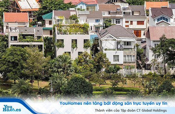 Hô biến cả rừng cây xanh vào trong nhà phố - Ảnh 10.