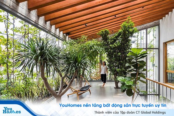 Hô biến cả rừng cây xanh vào trong nhà phố - Ảnh 11.