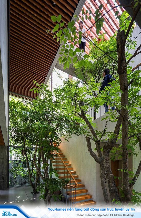 Hô biến cả rừng cây xanh vào trong nhà phố - Ảnh 5.