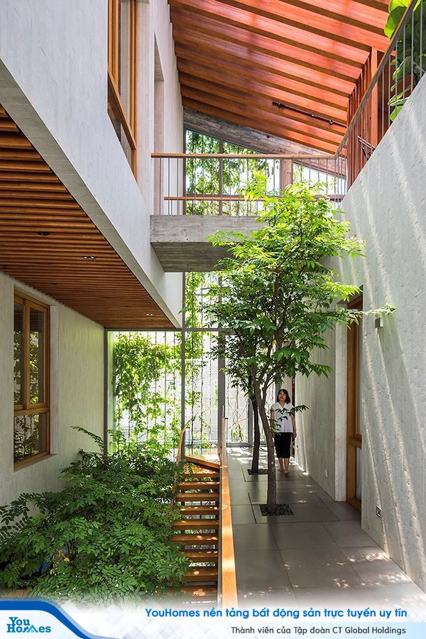 Hô biến cả rừng cây xanh vào trong nhà phố - Ảnh 9.