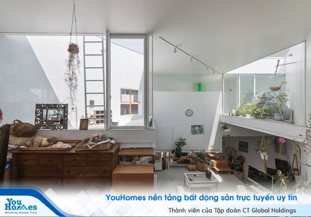 Ngôi nhà 13 tầng không phòng, không vách ngăn tại Nhật Bản - Ảnh 11.