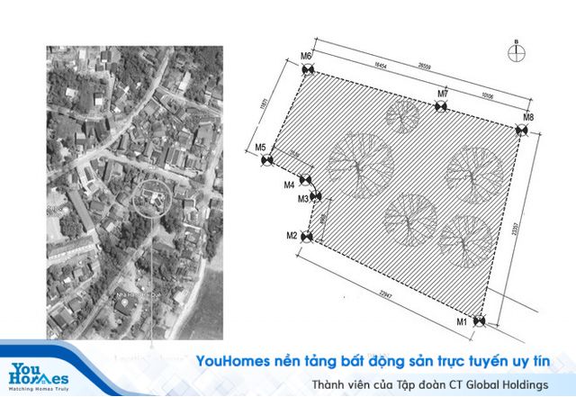 Căn nhà có lối thiết kế độc đáo bậc nhất Việt Nam - Ảnh 11.