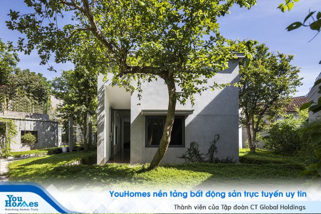 Căn nhà có lối thiết kế độc đáo bậc nhất Việt Nam - Ảnh 4.