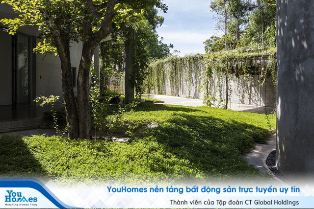 Căn nhà có lối thiết kế độc đáo bậc nhất Việt Nam - Ảnh 8.