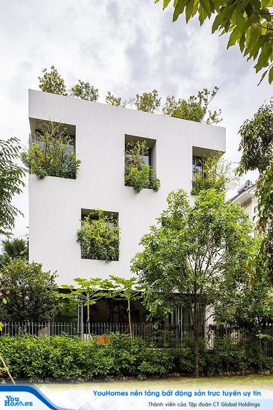 Hô biến cả rừng cây xanh vào trong nhà phố - Ảnh 1.