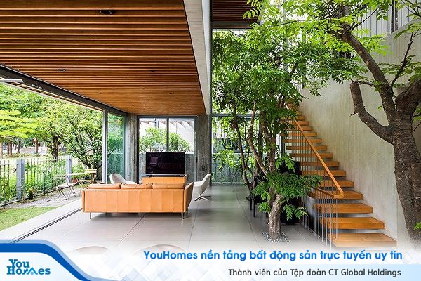 Hô biến cả rừng cây xanh vào trong nhà phố - Ảnh 3.