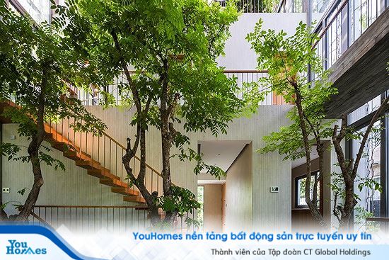 Hô biến cả rừng cây xanh vào trong nhà phố - Ảnh 4.