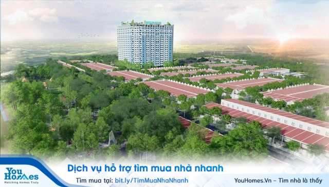 Giá nhà đất Bến Cát tăng 2-3 lần sau 2 năm - Ảnh 1.