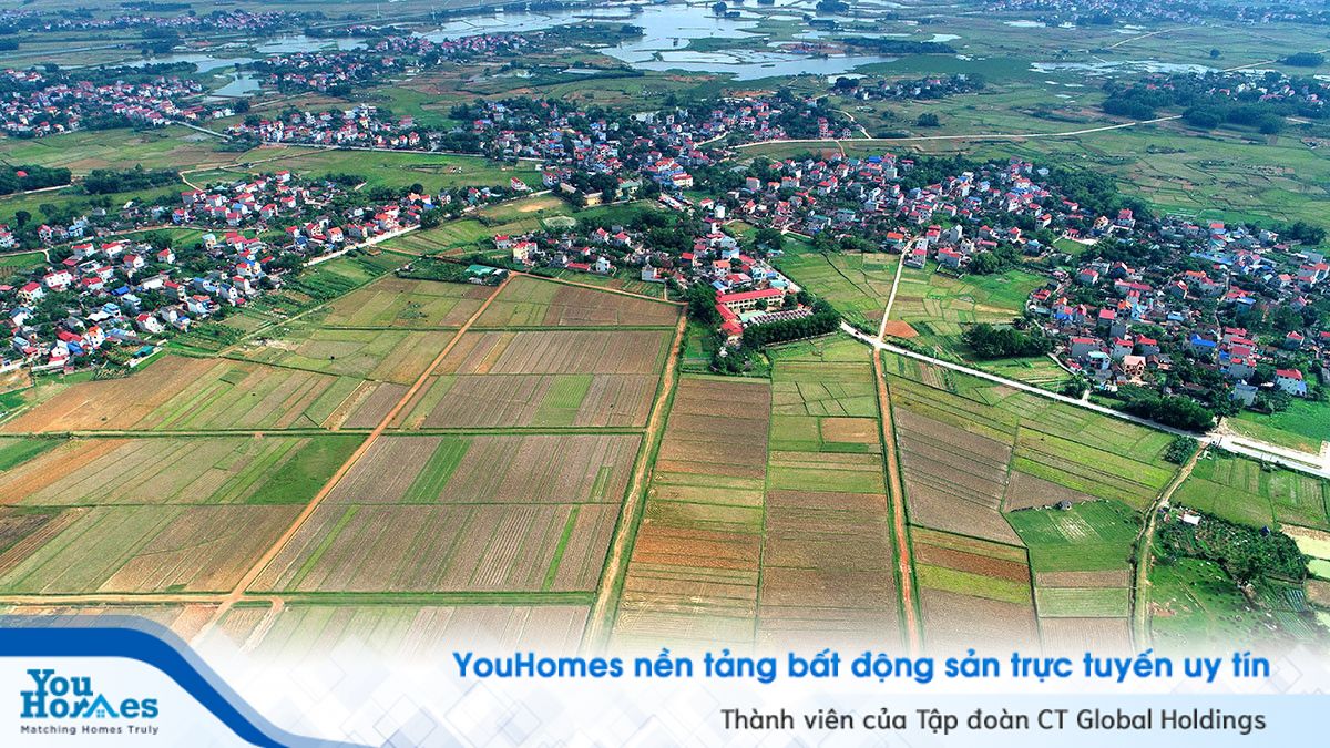 Tổng quan vị trí dự án trường đua ngựa Sóc Sơn.