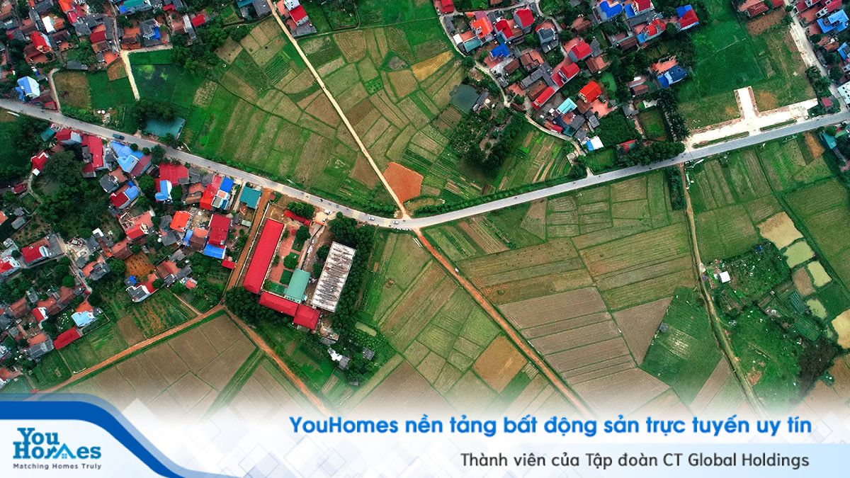 Trường đua sẽ nằm phía sau UBND xã Tân Minh, trường tiểu học Tân Minh A và nằm trên trục đường tỉnh lộ 296, gần quốc lộ 3, cao tốc Hà Nội - Thái Nguyên.