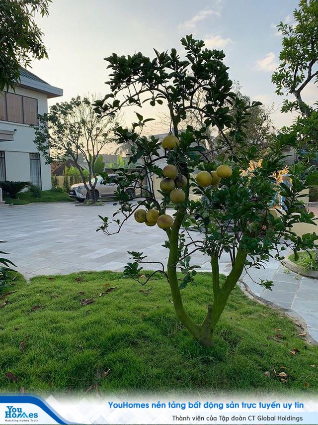 Nhà 1,5 tỷ đồng thiết kế đẹp như biệt thự hạng sang - Ảnh 7.