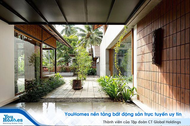 Mẫu nhà cấp 4 tuyệt đẹp thoáng và rộng như resort - Ảnh 5.