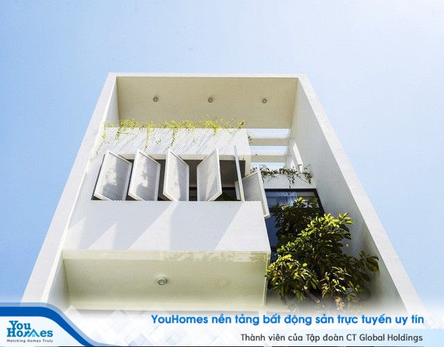 Ngôi nhà độc đáo bậc nhất Việt Nam vừa được báo Tây ngợi ca - Ảnh 3.