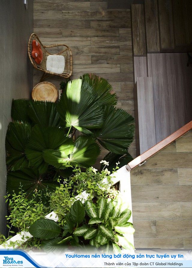 Ngôi nhà độc đáo bậc nhất Việt Nam vừa được báo Tây ngợi ca - Ảnh 7.