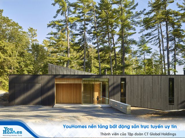 Ngôi nhà trên diện tích hơn 2.700 m2 có lưng dựa rừng thông cổ thụ, mặt hướng hồ - Ảnh 2.