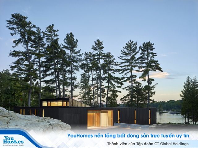 Ngôi nhà trên diện tích hơn 2.700 m2 có lưng dựa rừng thông cổ thụ, mặt hướng hồ - Ảnh 3.