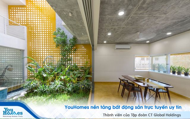 Ngôi nhà gần gũi với thiên nhiên nhờ có “vườn đặt trong nhà” - Ảnh 5.