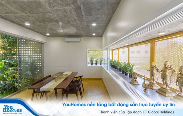 Ngôi nhà gần gũi với thiên nhiên nhờ có “vườn đặt trong nhà” - Ảnh 6.