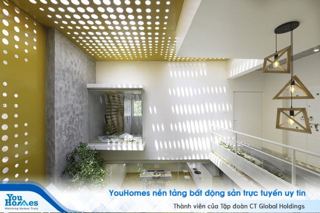 Ngôi nhà gần gũi với thiên nhiên nhờ có “vườn đặt trong nhà” - Ảnh 8.