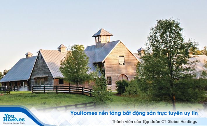 Tự trồng cỏ, làm hàng rào và trồng những loại cây mà mình yêu thích xung quanh nhà.