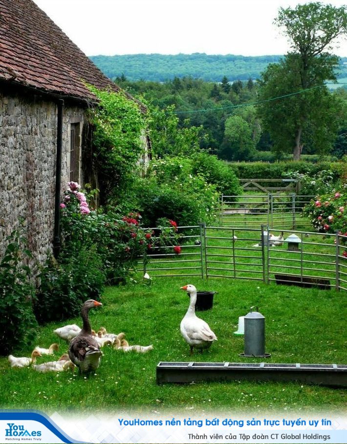 Sống giữa thiên nhiên, nơi trong lành và bình yên.