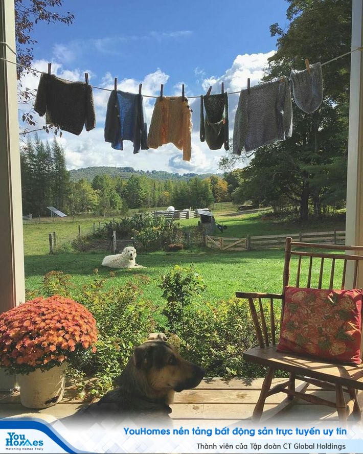 Tự tay trang trí hiên nhà đầy lãng mạn với khóm hoa và gối tựa.