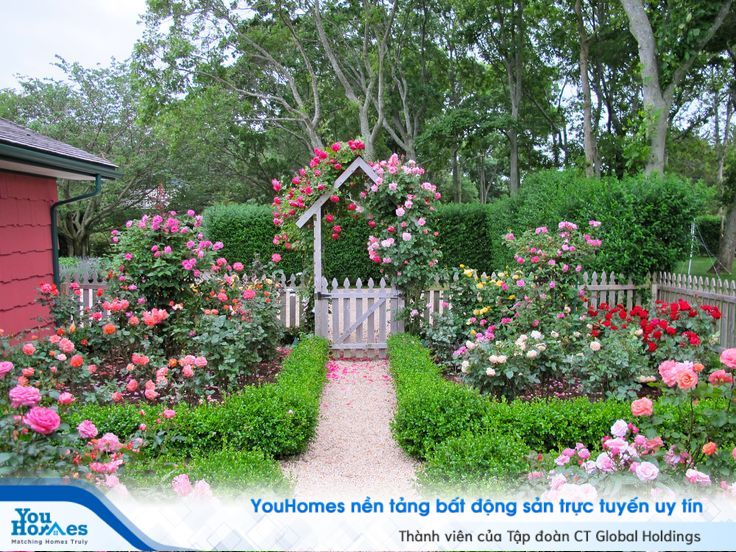 Cuộc sống hướng đến thiên nhiên, ngắm nhìn và tận hưởng những gì tinh túy nhất, đa sắc màu, đa cảm xúc nhưng vẫn luôn giữ cho lòng mình cảm giác yên bình mà khi ở đô thị, hiếm có thể lưu giữ được.