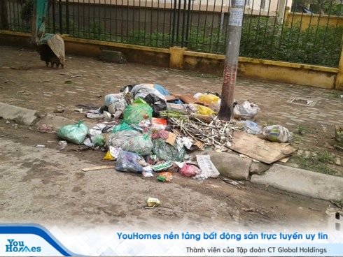 Rác thải sinh hoạt vứt bữa bãi tại khu đô thị mới Yên Hòa (Cầu Giấy, Hà Nội)