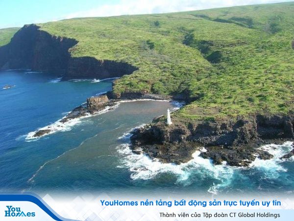 Larry Ellison không chỉ là “ông lớn công nghệ” mà còn là “ông trùm” bất động sản khi sở hữu cả tá biệt thự và một hòn đảo riêng.