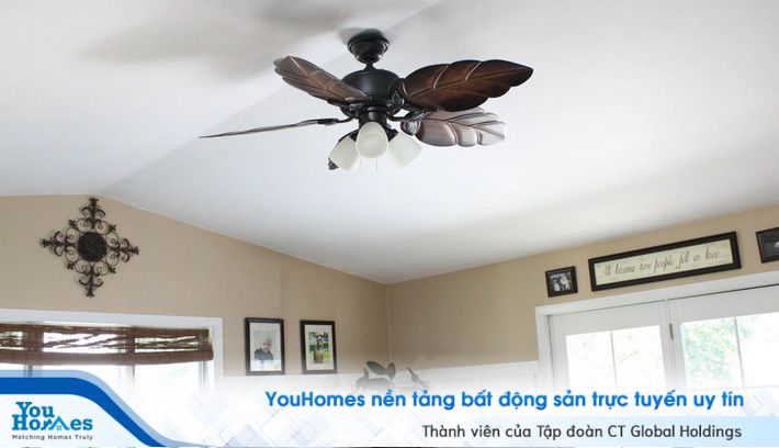 Quạt trần tạo điểm nhấn cho không gian.