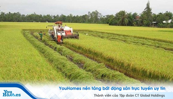 Đất nông nghiệp làm sao để xây dựng nhà
