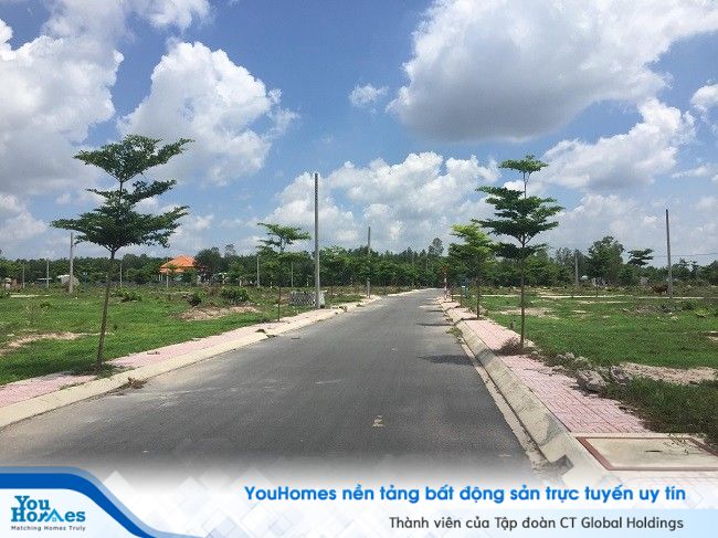 Vụ công ty địa ốc Alibaba: Áp dụng mô hình của siêu lừa thế kỷ - Ảnh 1.