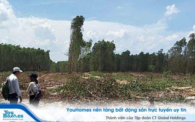 Công an triệu tập gần 20 giám đốc công ty con của Alibaba - Ảnh 2.