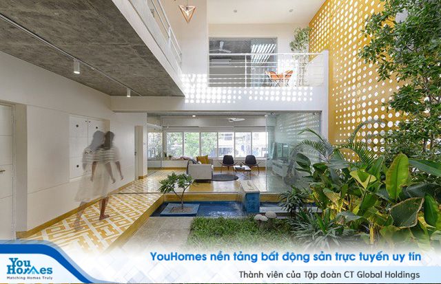 Nhà hẹp nổi bật sang trọng, nhìn đâu cũng thấy vườn xanh mướt - Ảnh 1.