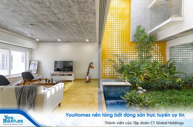 Nhà hẹp nổi bật sang trọng, nhìn đâu cũng thấy vườn xanh mướt - Ảnh 4.