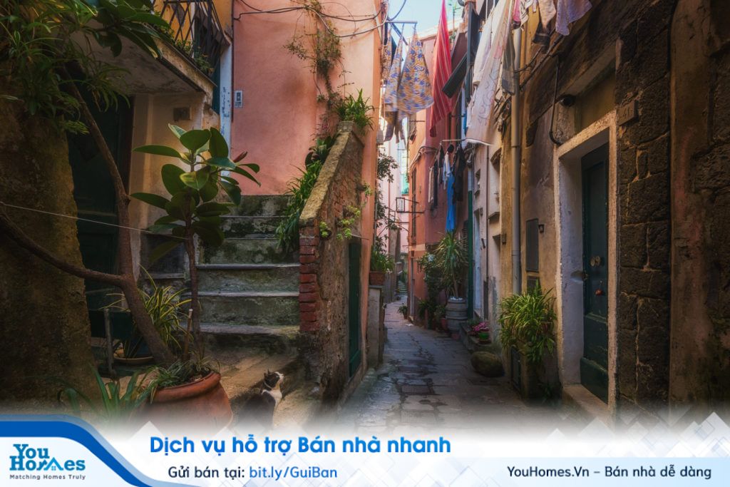 Nhà trong hẻm cụt thì chỉ có một lối duy nhất, và lối đi chật hẹp, khó khăn cho giao thông đi lại.