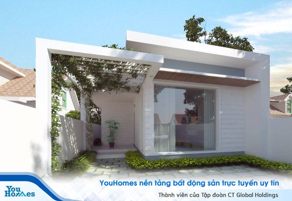 Mẫu nhà ống 1 tầng hiện đại với dàn cây leo đầy tinh tế.