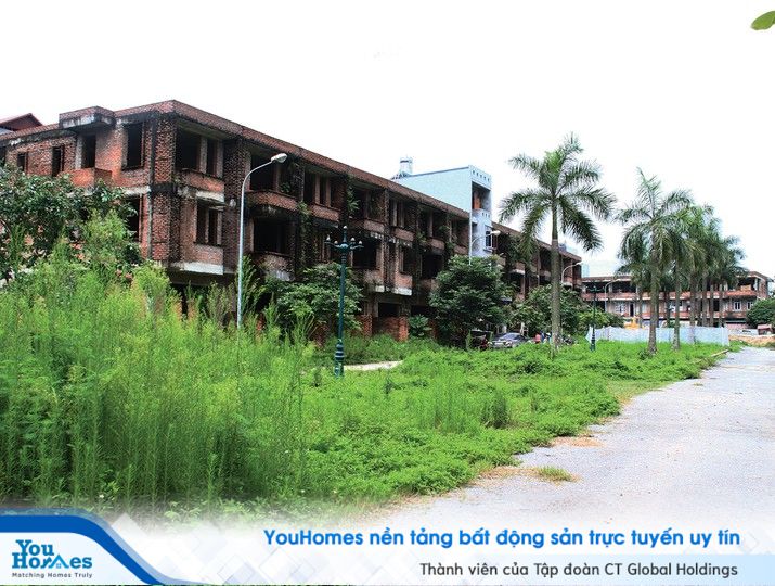 Các loại bất động sản thuộc quy hoạch treo và dự án treo chỉ được cấp phép cải tạo, sửa chữa chứ không được xây dựng mới công trình nhà, đất trồng cây lâu năm.