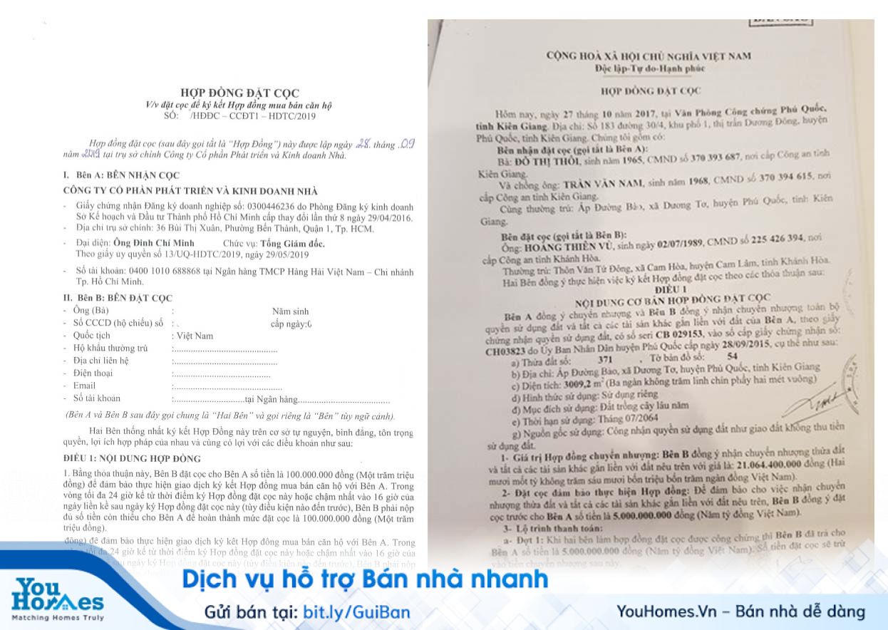 Mẫu hợp đồng đặt cọc mua bán nhà đất