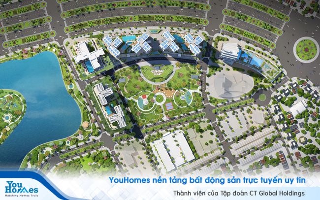 Luật quy hoạch đô thị quy định về hoạt động quy hoạch đô thị gồm lập, thẩm định, phê duyệt và điều chỉnh quy hoạch đô thị.